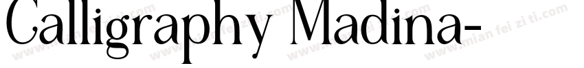 Calligraphy Madina字体转换